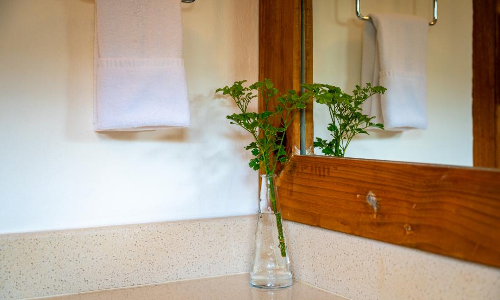 Sun Properties and Resort - Camera Standard