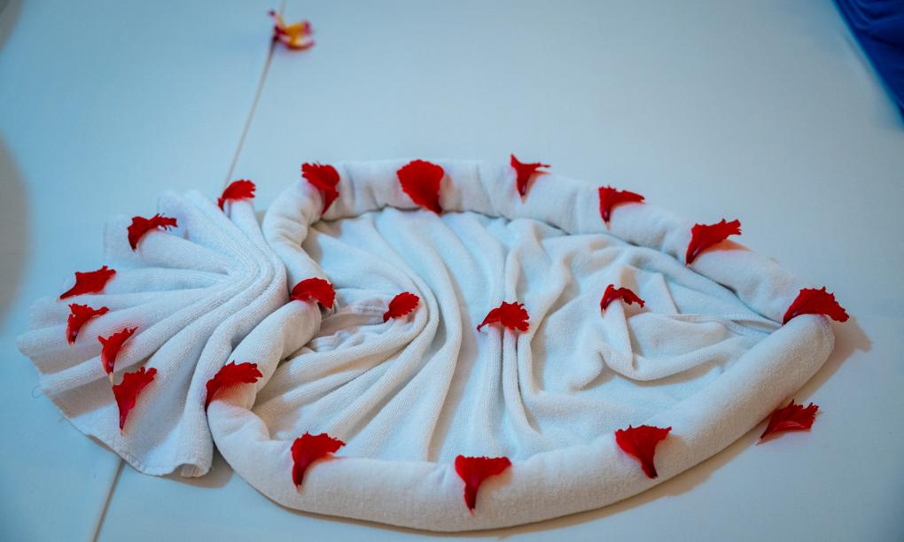 Sun Properties and Resort - Camera Superior