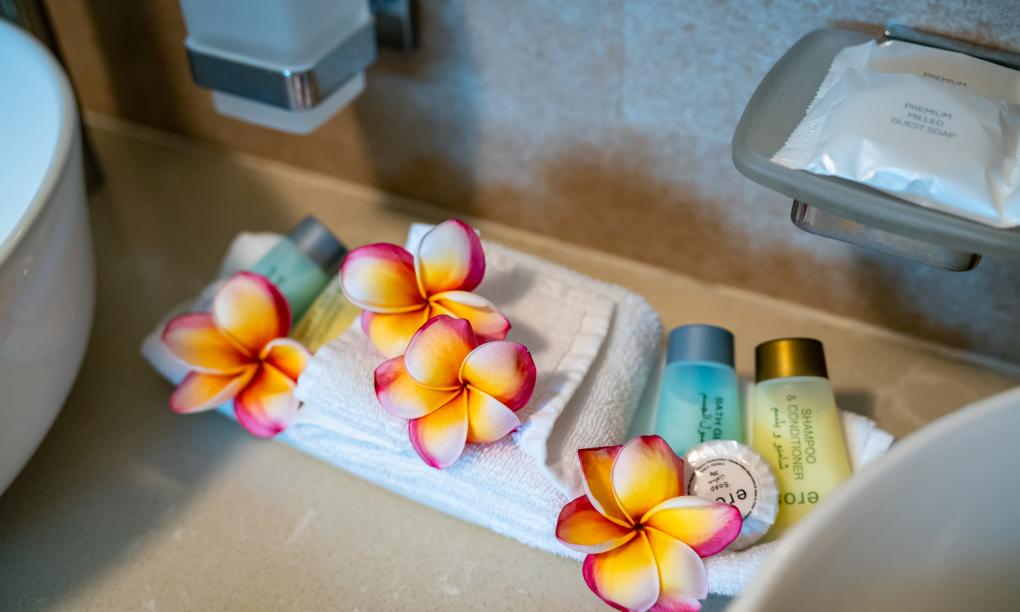 Sun Properties and Resort - Camera Superior