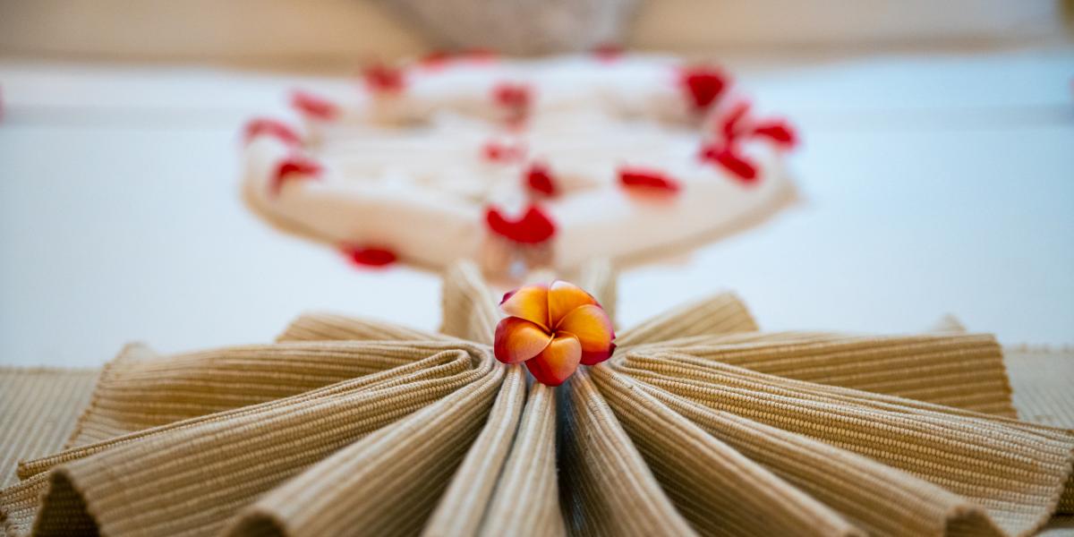 Sun Properties and Resort - Camera Superior