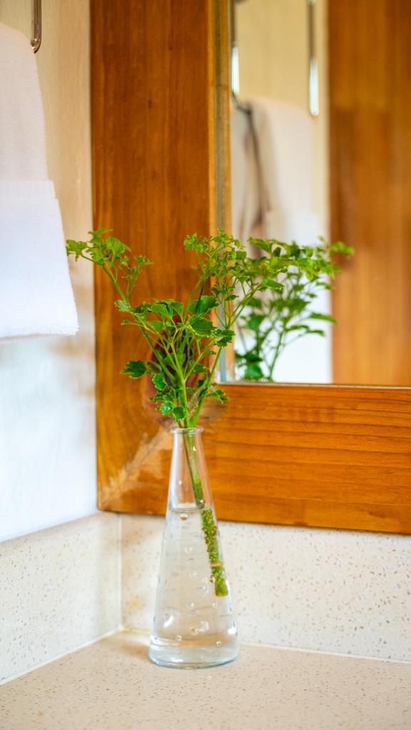 Foto 54: Sun Properties and Resort - Mahé (Seychelles)