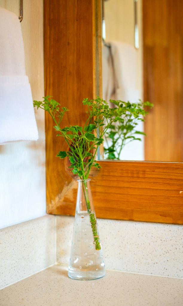 Sun Properties and Resort - Camera Standard