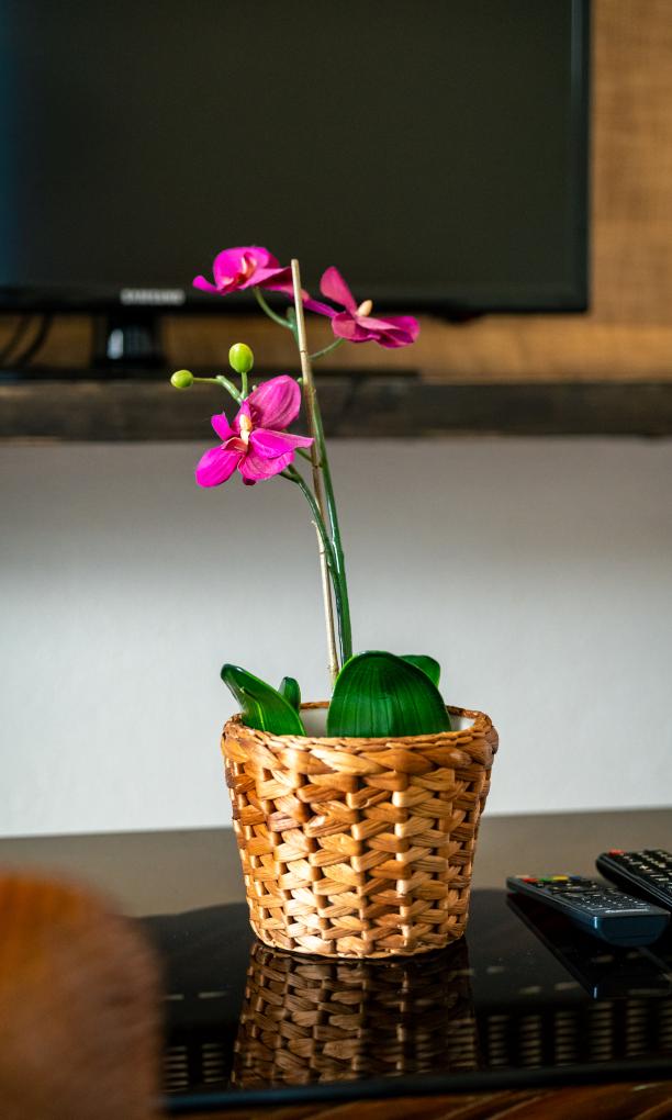 Sun Properties and Resort - Camera Standard