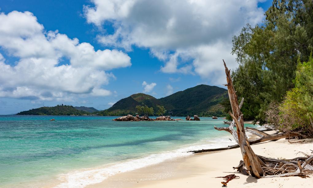 Anse Boudin Chalets & Villa