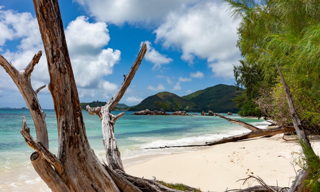 Anse Boudin Chalets & Villa