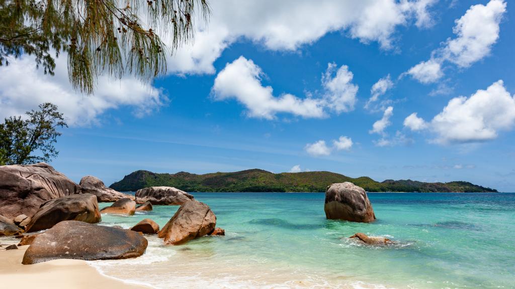 Photo 28: Anse Boudin Chalets & Villa - Praslin (Seychelles)