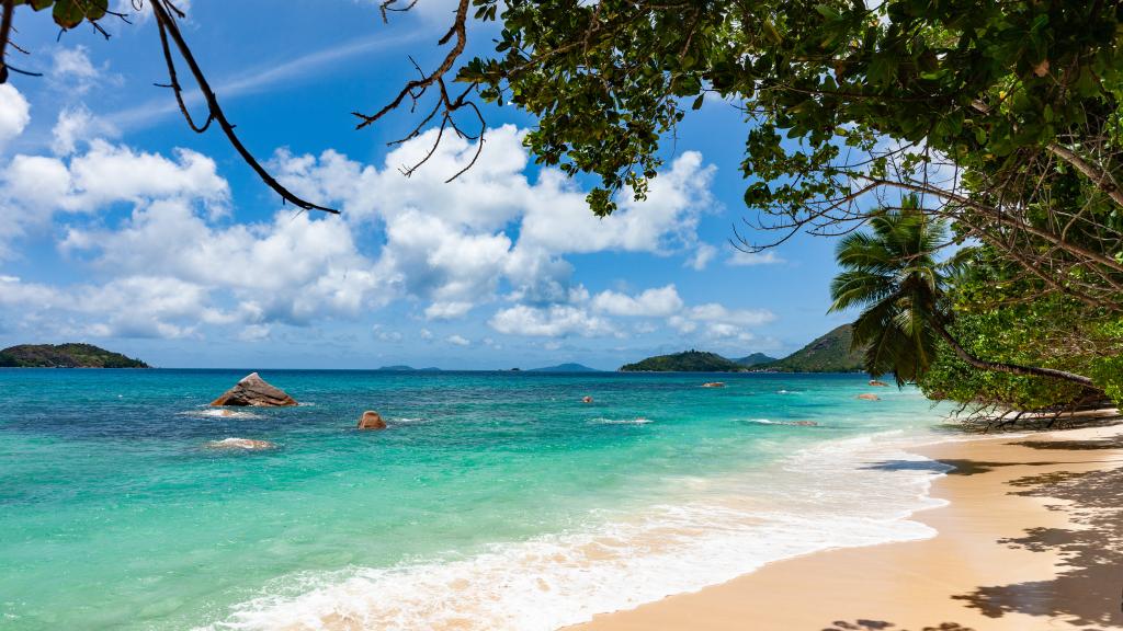 Photo 18: Anse Boudin Chalets & Villa - Praslin (Seychelles)