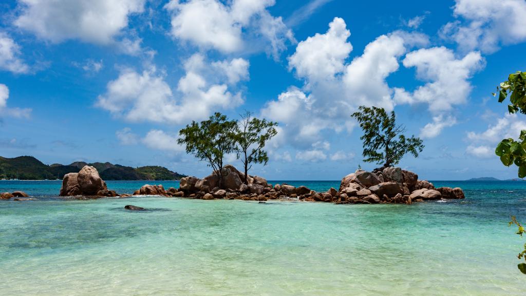 Photo 17: Anse Boudin Chalets & Villa - Praslin (Seychelles)