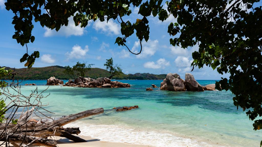Photo 15: Anse Boudin Chalets & Villa - Praslin (Seychelles)
