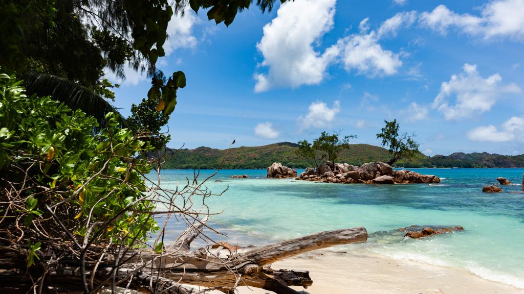 Photo 14: Anse Boudin Chalets & Villa - Praslin (Seychelles)