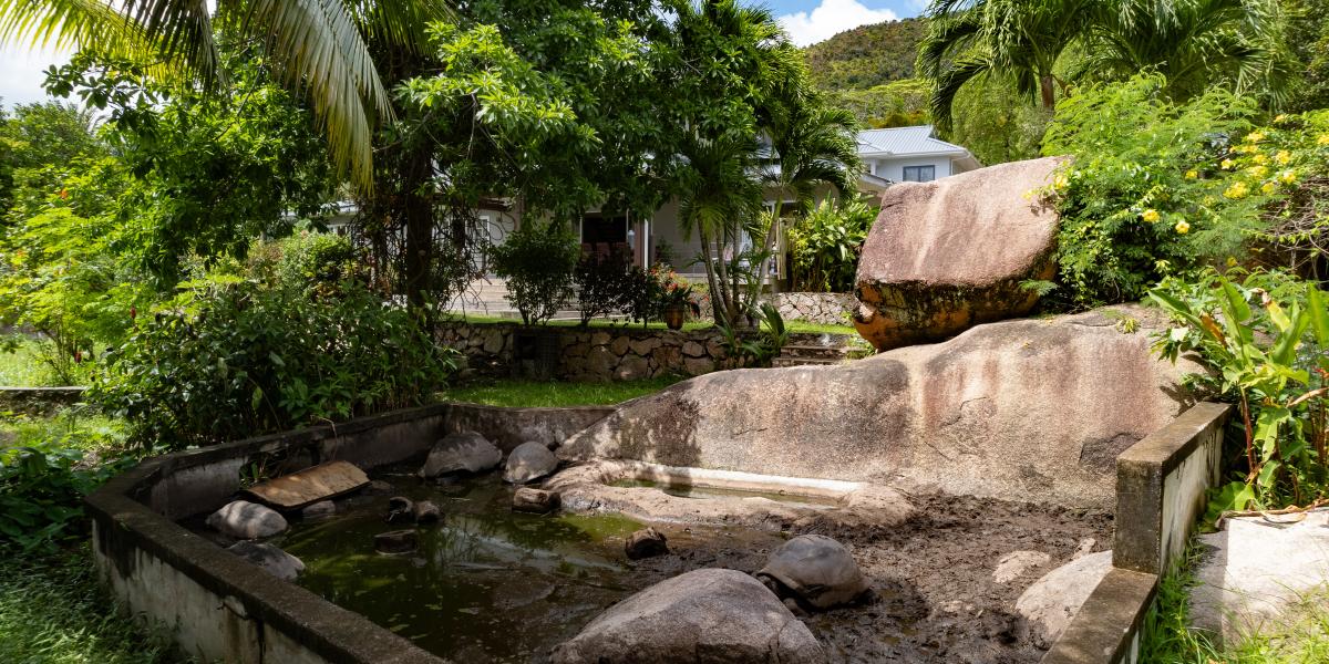 Anse Boudin Chalets & Villa