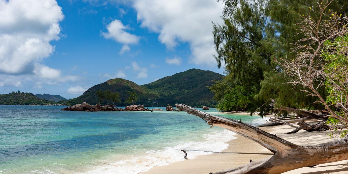 Anse Boudin Chalets & Villa