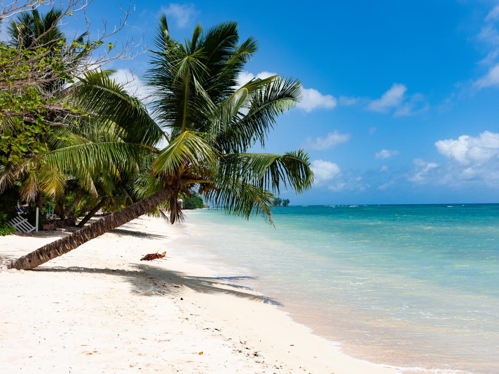 La Digue Emerald Villa - Foto 7