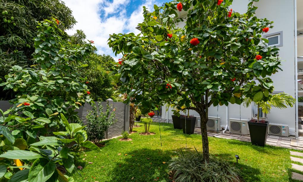 Summer Sand Holiday Apartments