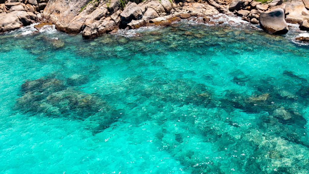 Foto 20: Maka Bay Residence - Mahé (Seychelles)