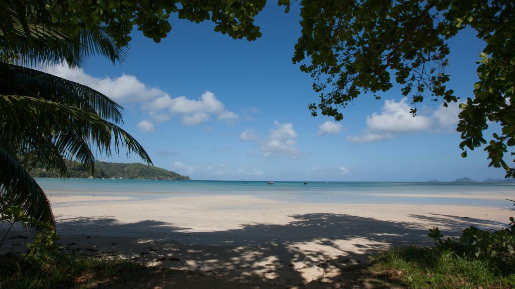 Foto 57: Jasmine Stay - Mahé (Seychelles)