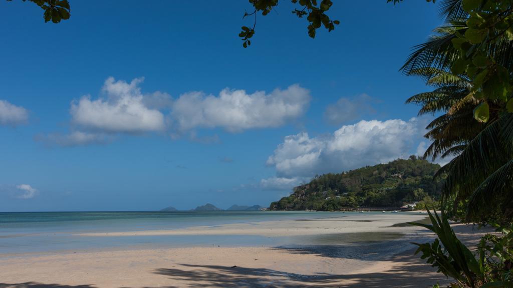 Foto 56: Jasmine Stay - Mahé (Seychelles)