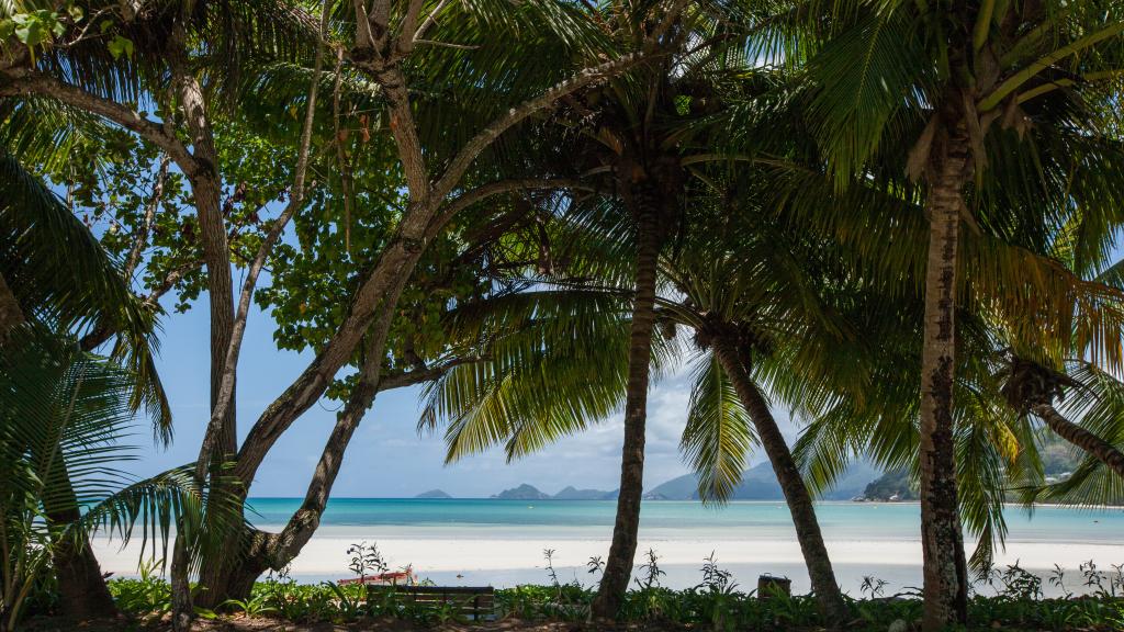 Foto 55: Jasmine Stay - Mahé (Seychelles)