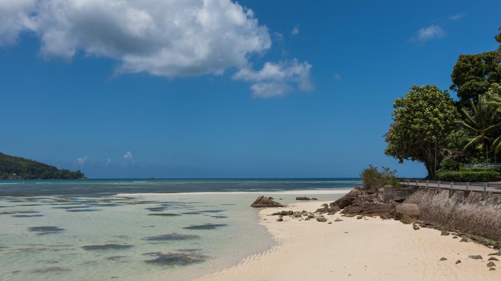 Photo 58: Jasmine Stay - Mahé (Seychelles)