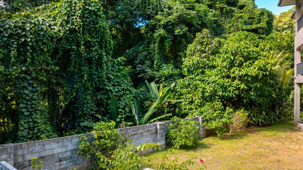 Foto 40: Jasmine Stay - Mahé (Seychelles)