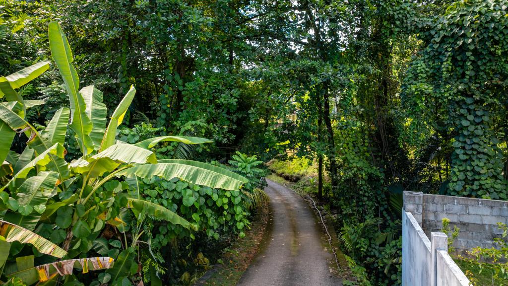 Foto 42: Jasmine Stay - Mahé (Seychelles)