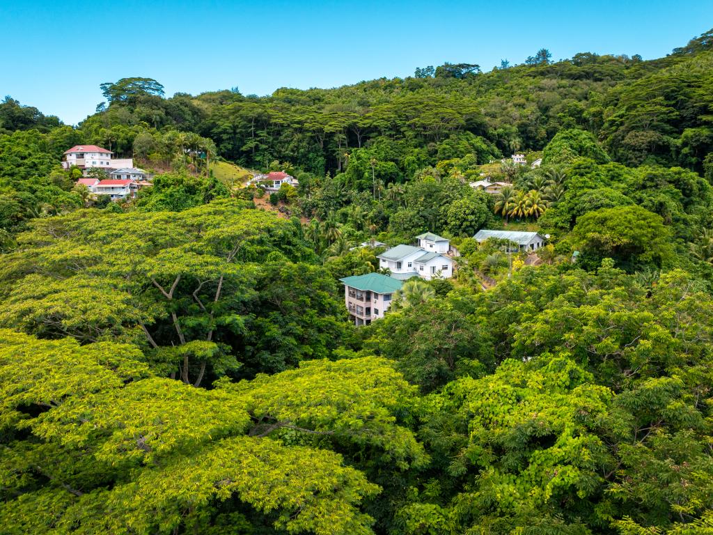 Jasmine Stay - Foto 8