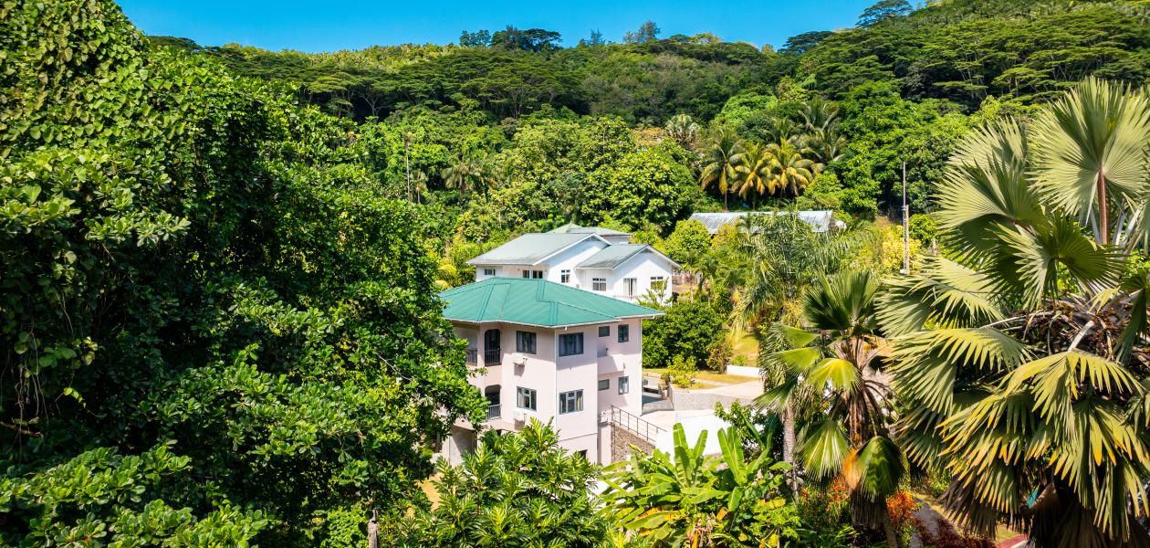 Jasmine Stay - Foto 1