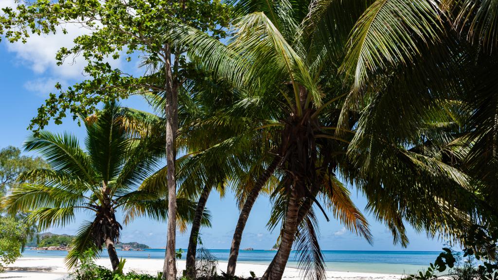 Foto 21: LA Apartments - Praslin (Seychelles)