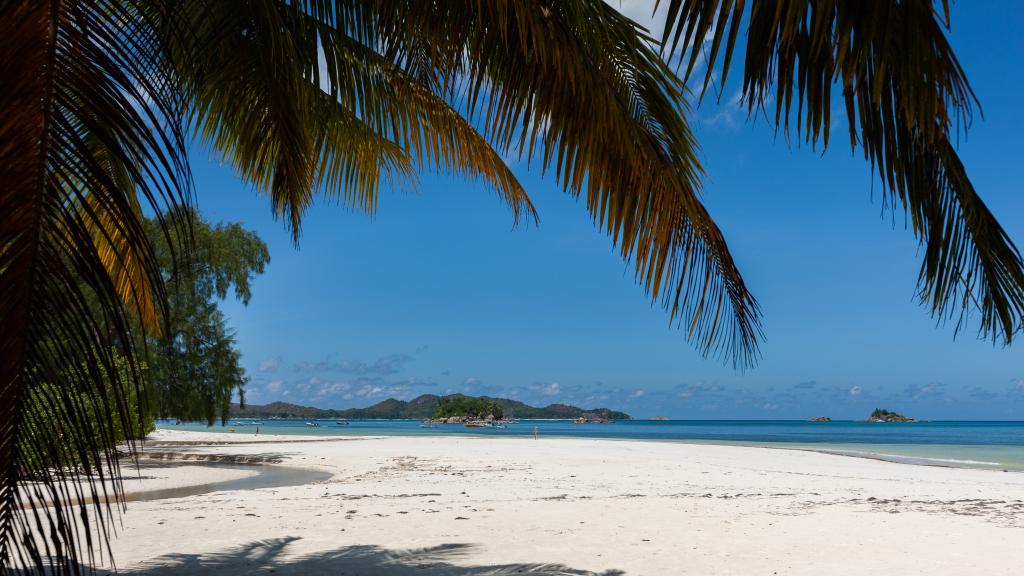 Foto 13: LA Apartments - Praslin (Seychelles)