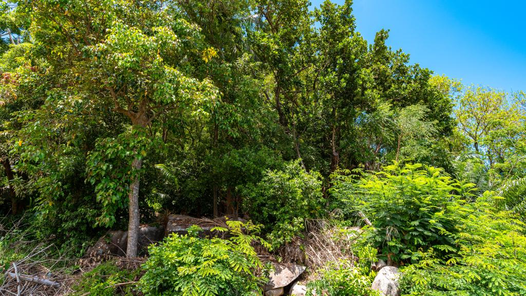 Photo 18: Dovass Apartments - Mahé (Seychelles)