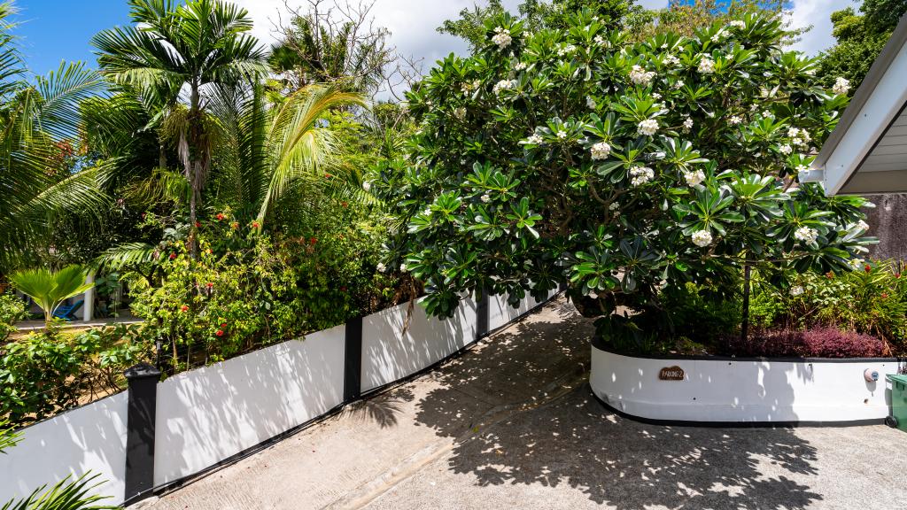 Foto 36: The Salty Palms - Mahé (Seychelles)