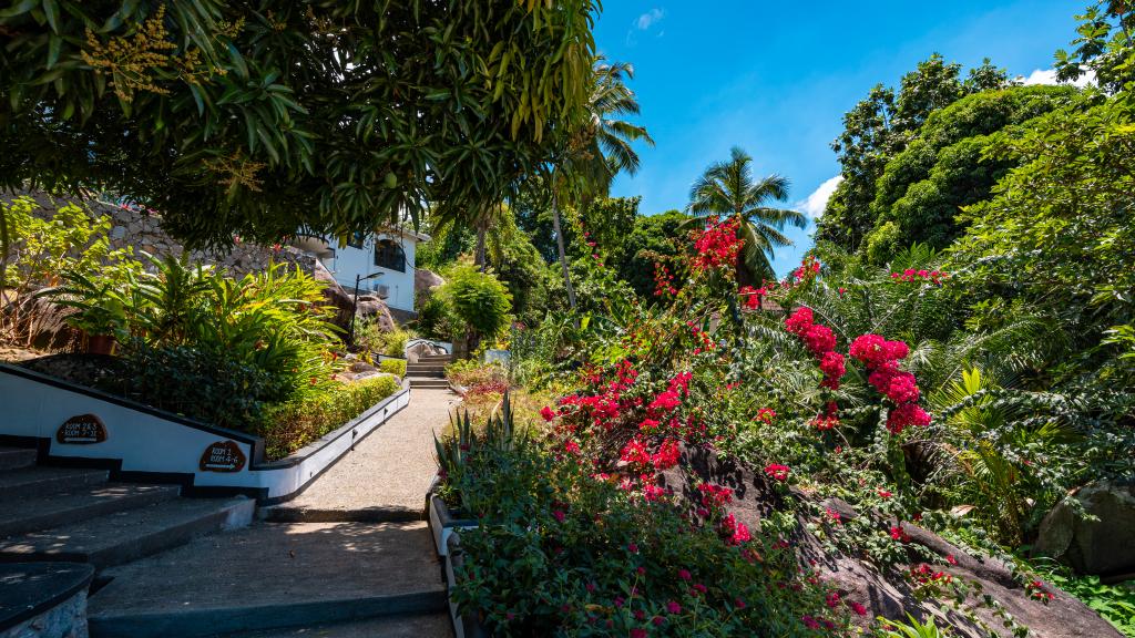 Foto 17: The Salty Palms - Mahé (Seychellen)