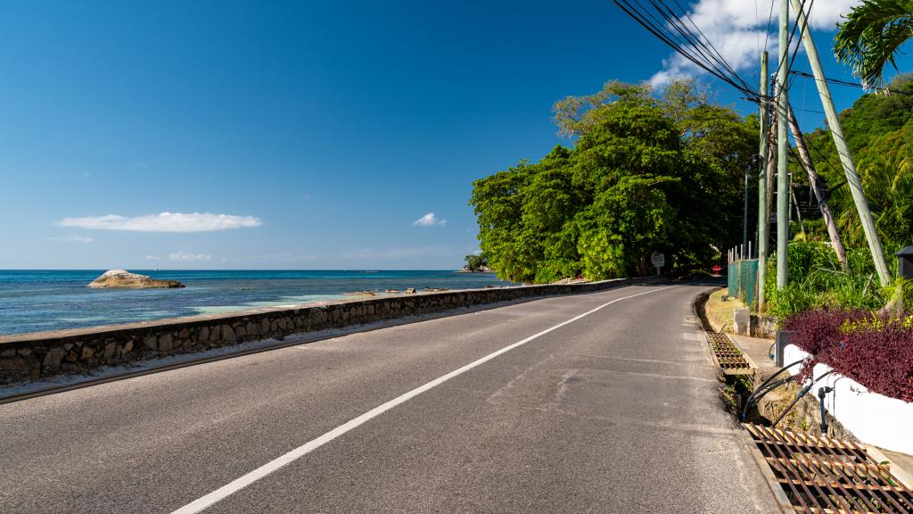Foto 54: The Salty Palms - Mahé (Seychellen)