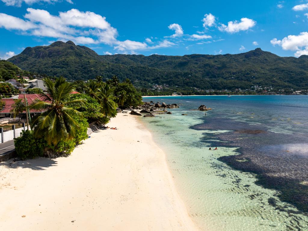 The Salty Palms - Foto 6