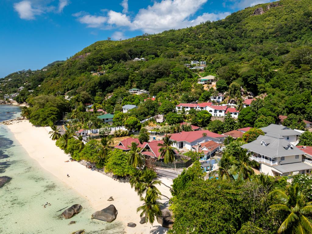 The Salty Palms - Foto 8