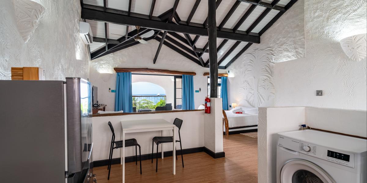 The Salty Palms - Monolocale Therese/Conception