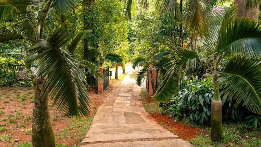 Foto 35: Cote Cedres - Mahé (Seychelles)