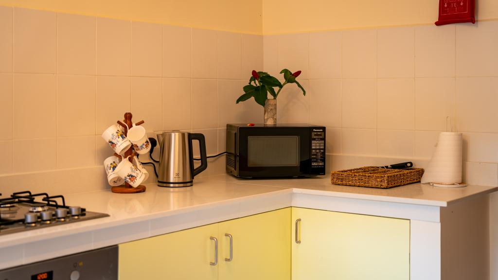 Photo 31: Cote Cedres - Mahé (Seychelles)