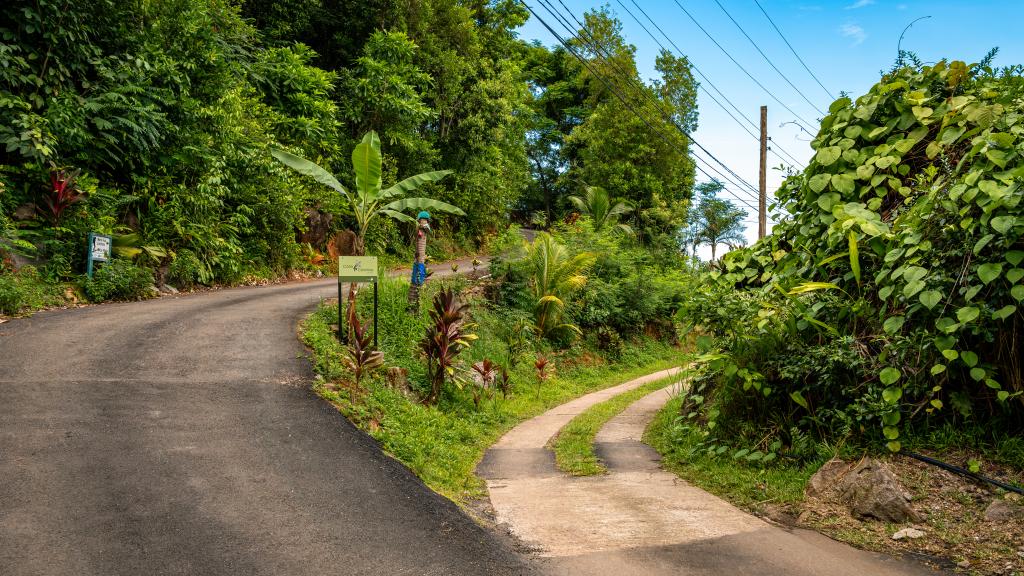 Foto 39: Cote Cedres - Mahé (Seychelles)