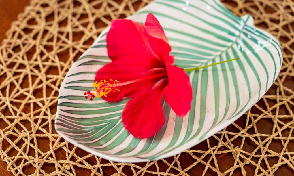 Sorento Holiday Apartments - 2-Bedroom Apartment North