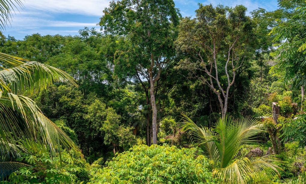 Eco Lodge Self Catering