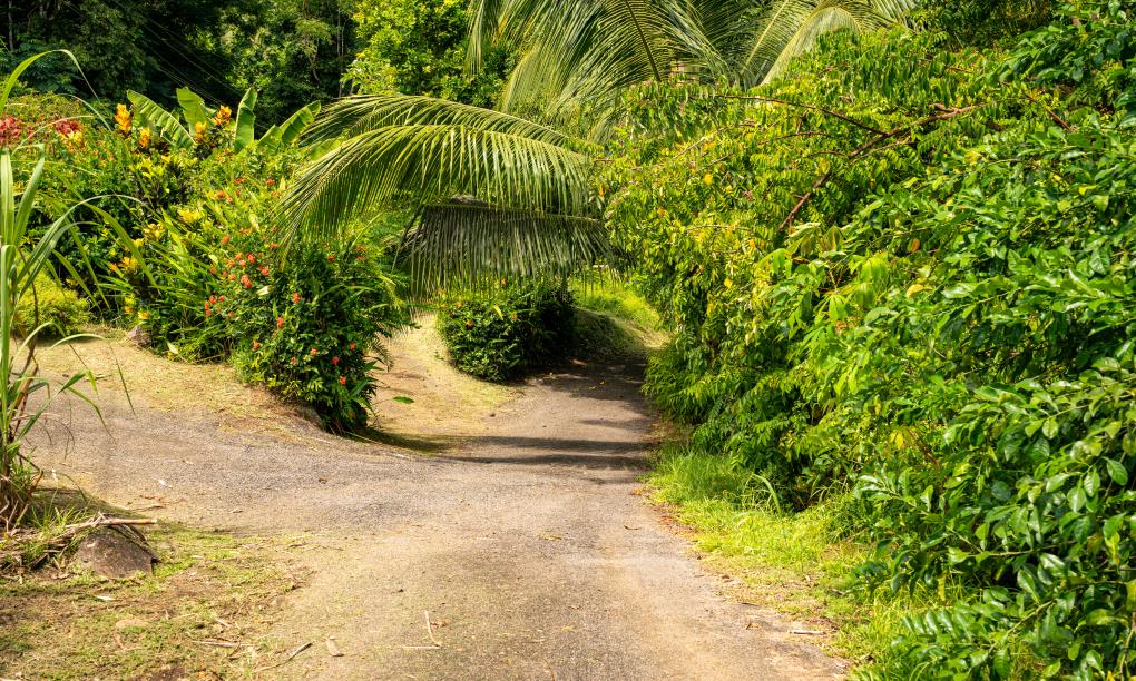 Eco Lodge Self Catering