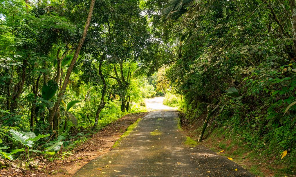 Eco Lodge Self Catering