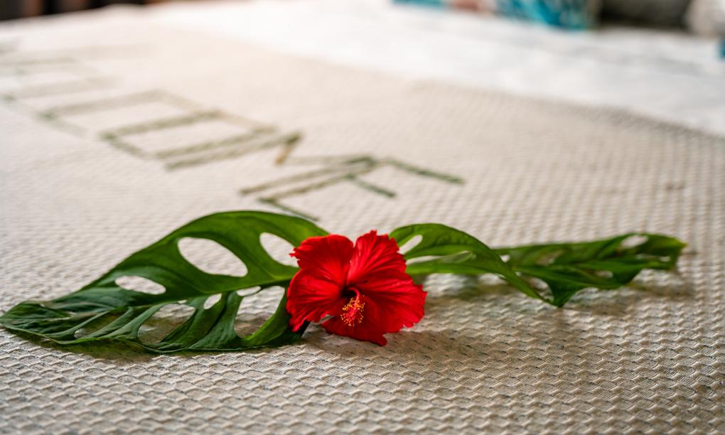 Eco Lodge Self Catering - 1-Bedroom Bungalow with Private Plunge Pool