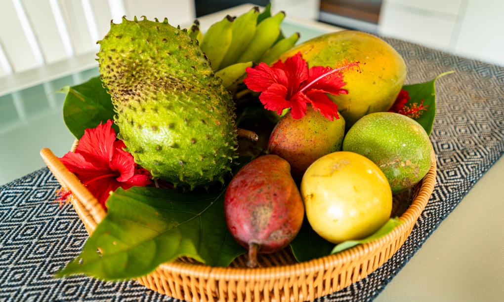 Eco Lodge Self Catering - 1-Bedroom Bungalow with Private Plunge Pool