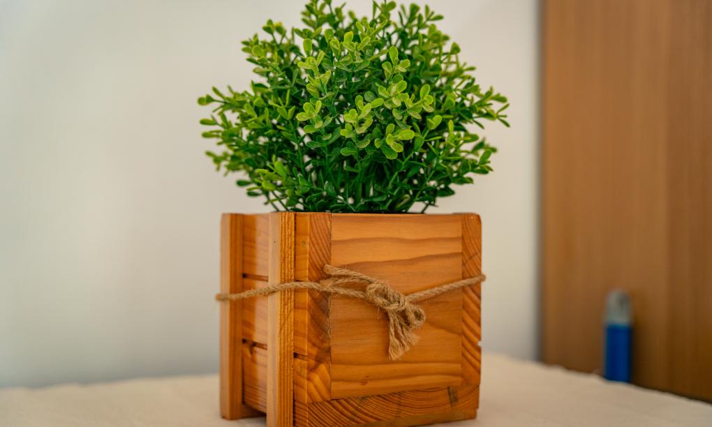 Eco Lodge Self Catering - 1-Bedroom Bungalow