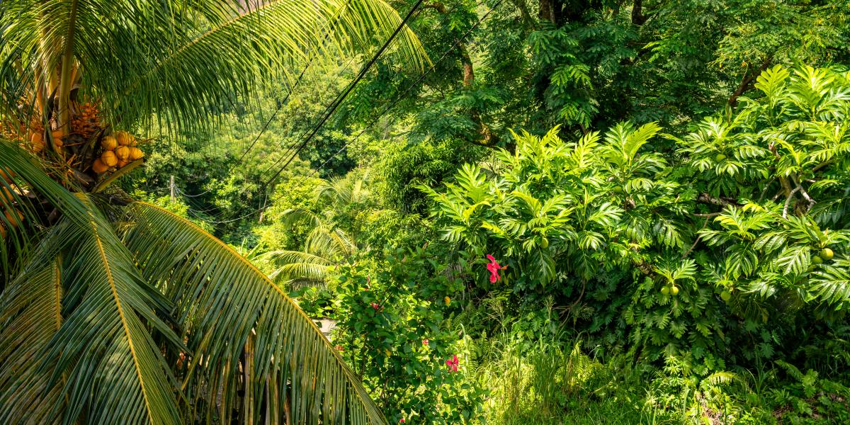 Eco Lodge Self Catering