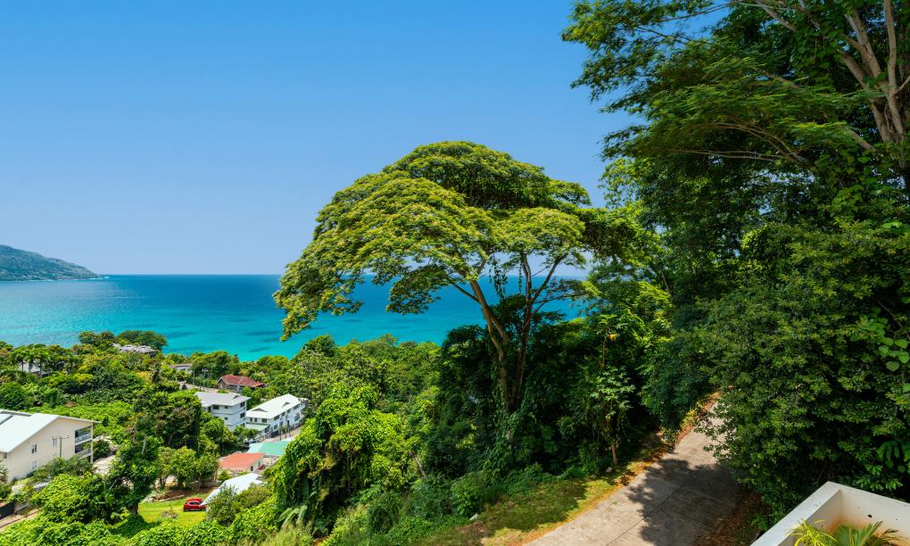 Tropical Secrets Holiday Apartments