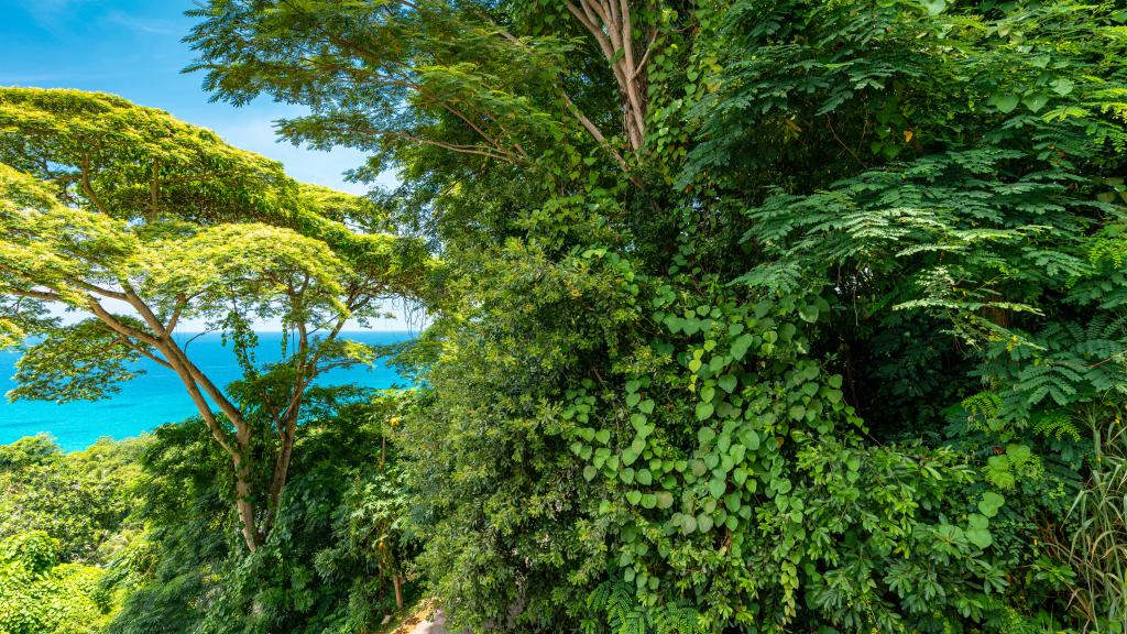 Foto 49: Tropical Secrets Holiday Apartments - Mahé (Seychellen)