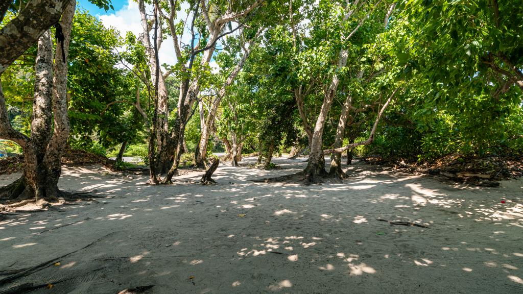Photo 19: Ocean Pearl Villa - Mahé (Seychelles)